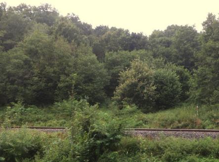 Prodej pozemku, ostatní, 7 141 m²