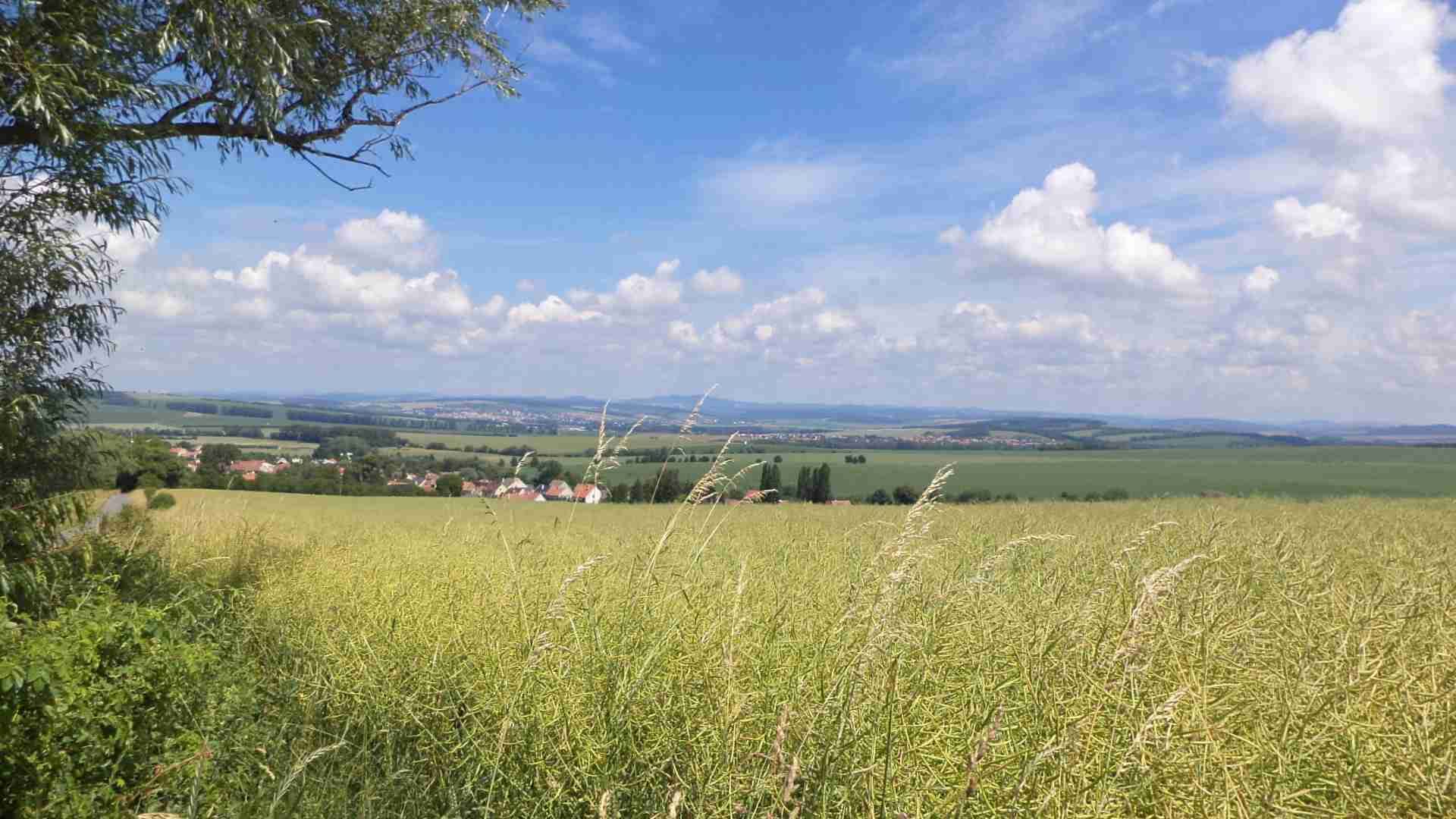 Prodej pozemku Slavkov u Uherského Brodu