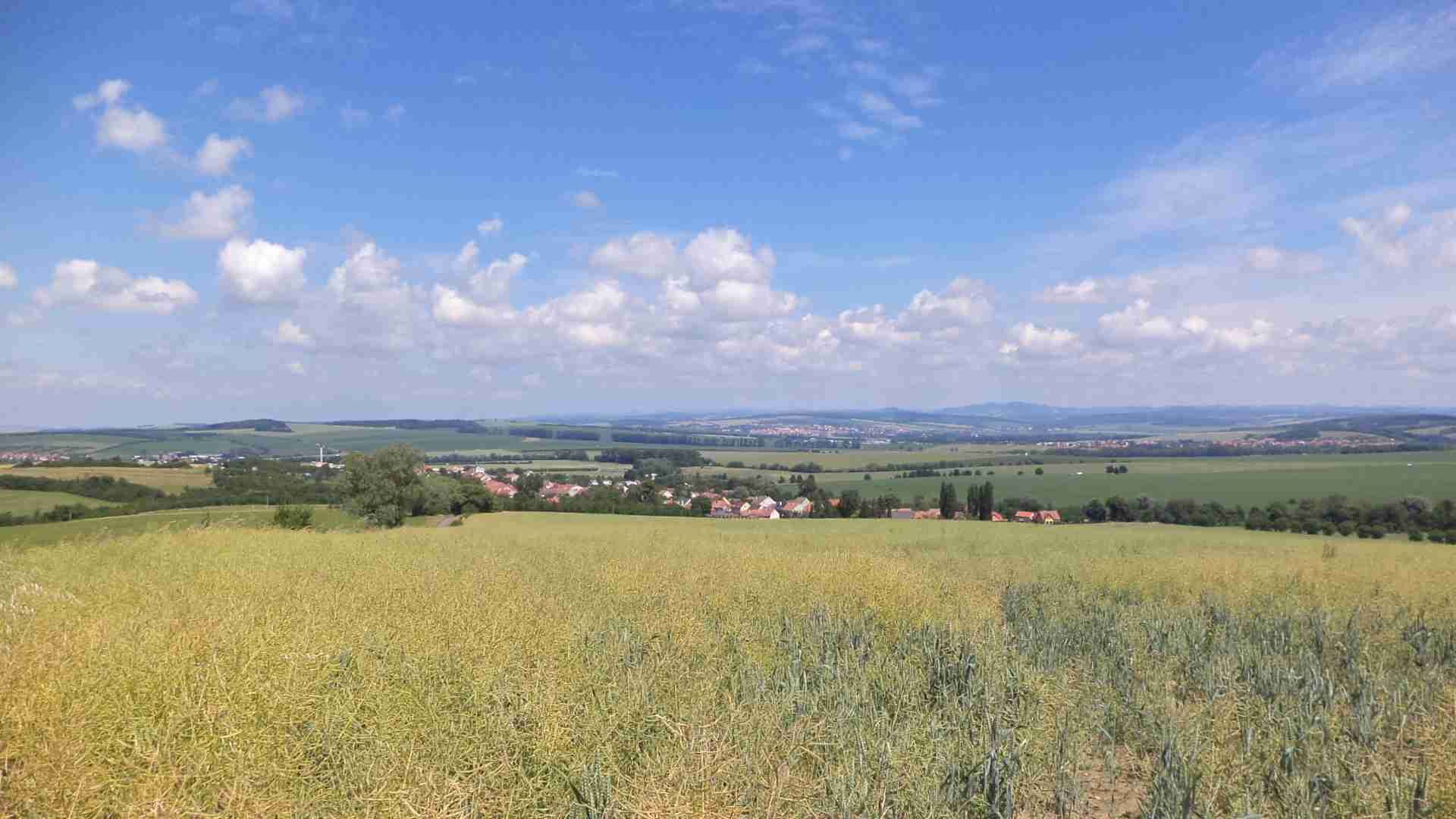 Prodej pozemku Slavkov u Uherského Brodu