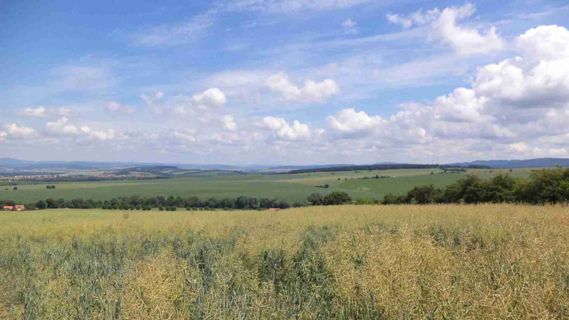 Prodej pozemku Slavkov u Uherského Brodu