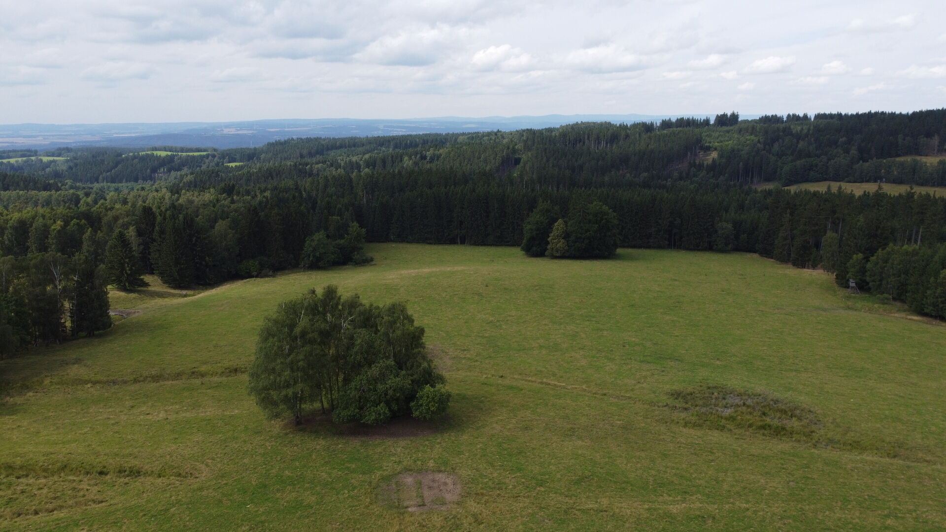 dražba pozemků k.ú. Smrkovec u Březové