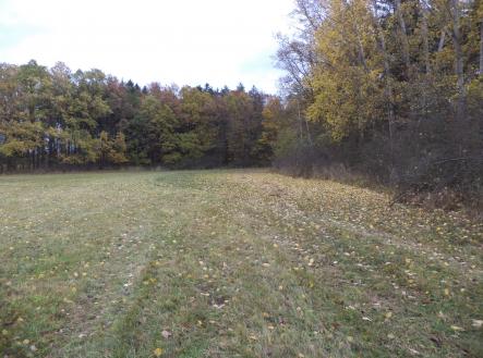 Prodej pozemku, zemědělská půda, 26 461 m²