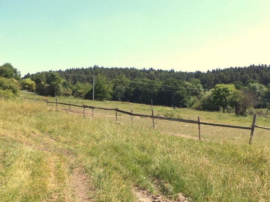 DRAŽBA pozemků Držkrajov