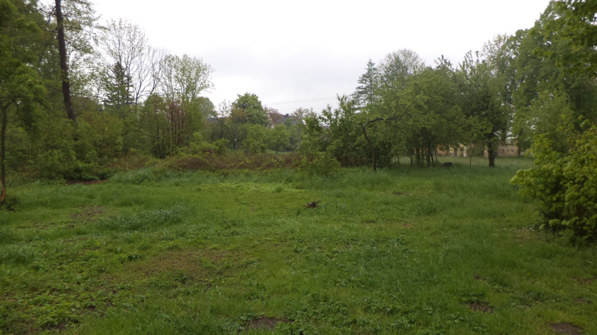 DRAŽBA pozemku Vlčice u Javorníka, obec Vlčice