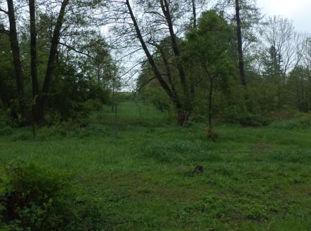 Prodej pozemku, ostatní, 1 387 m²