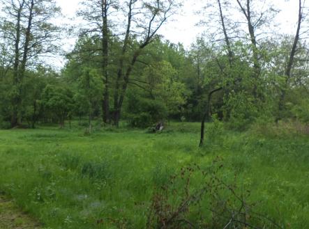 Prodej pozemku, ostatní, 1 387 m²