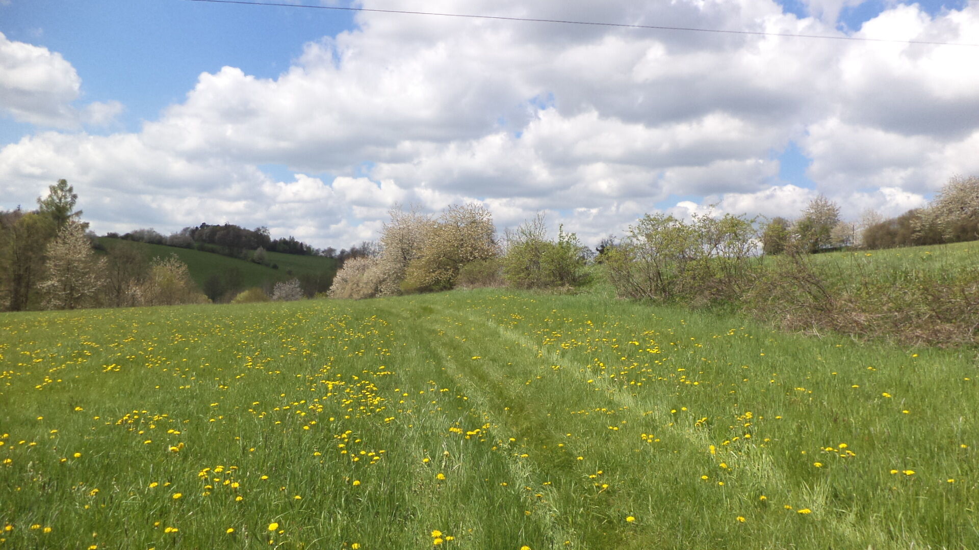 Dražba pozemků Vítkov