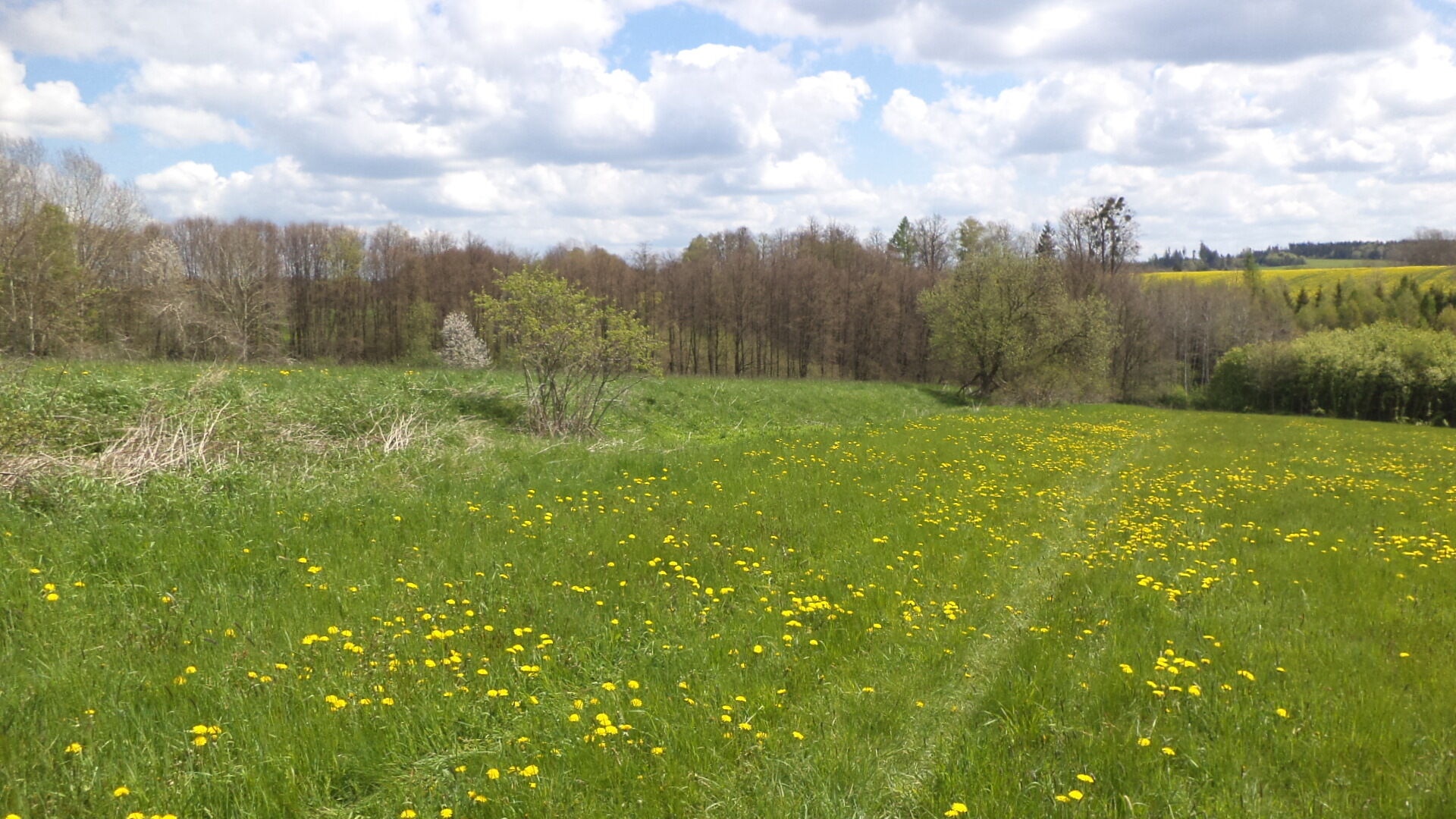 Dražba pozemků Vítkov