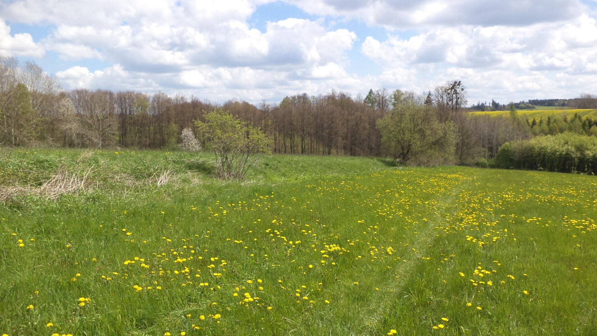 Prodej pozemků Vítkov