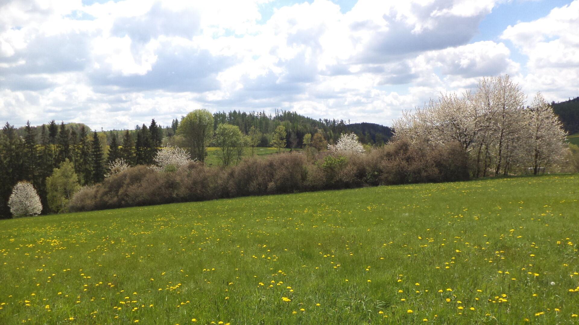 Prodej pozemků Vítkov