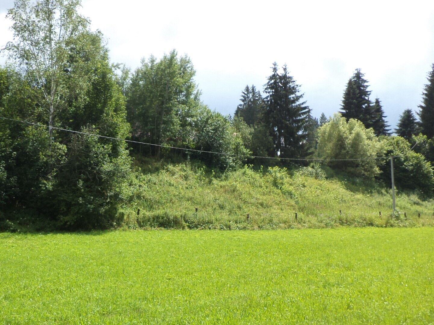 DRAŽBA  pozemku Chotěvice