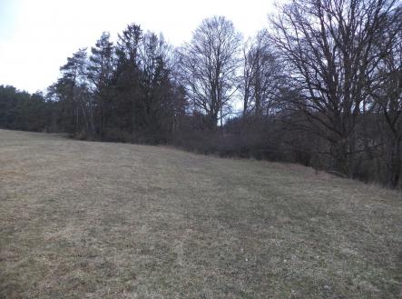 Prodej pozemku, zemědělská půda, 6 625 m²