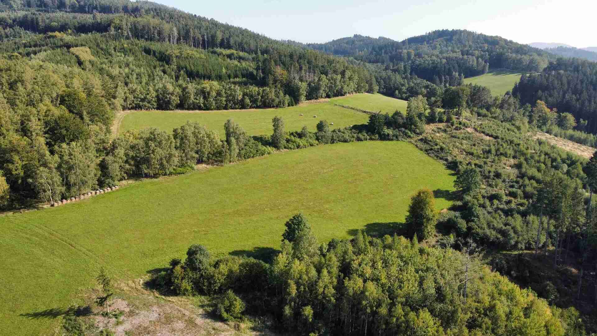 prodej pozemků k.ú. Chlistov