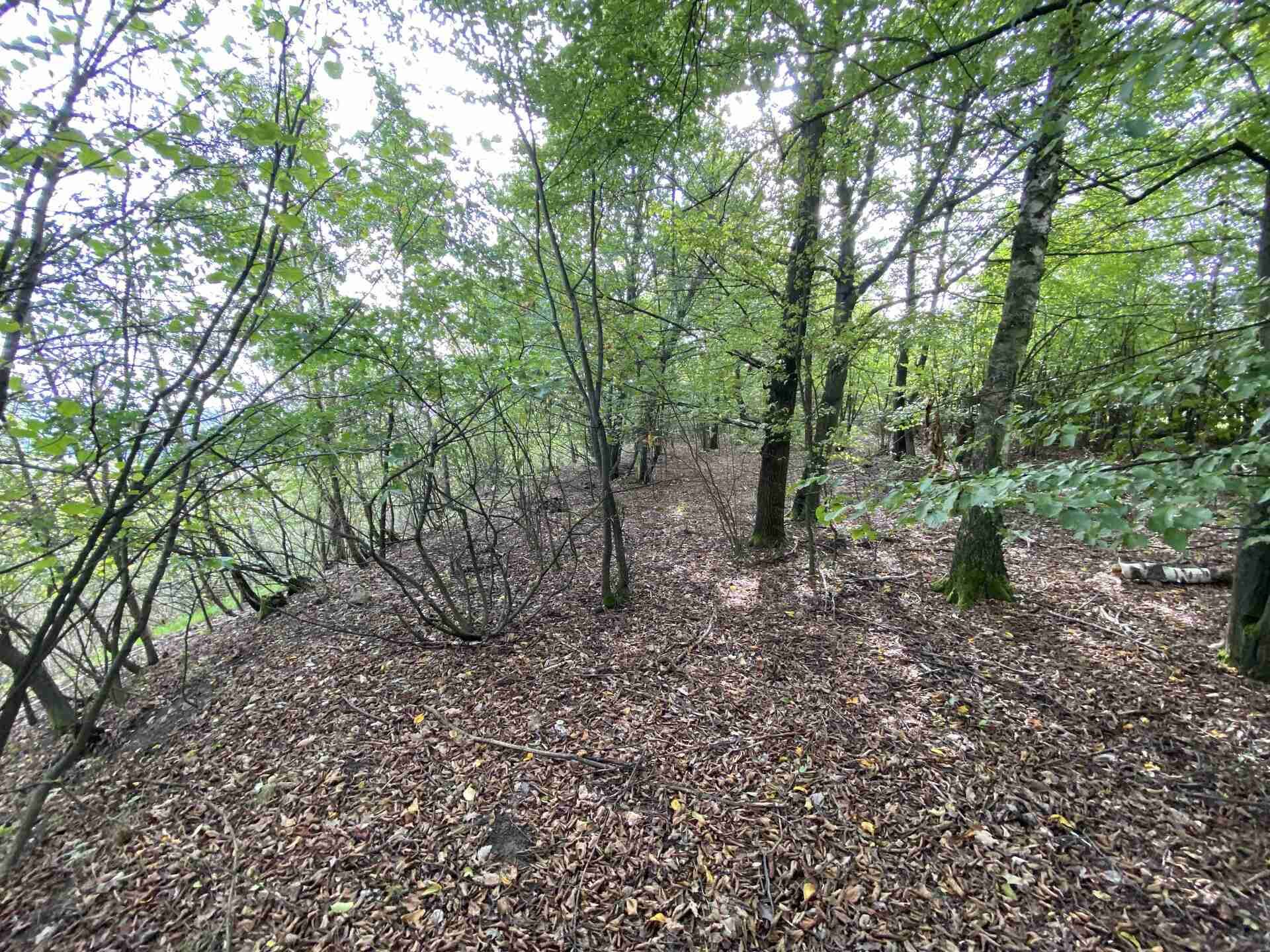 Prodej pozemku Radobyčice