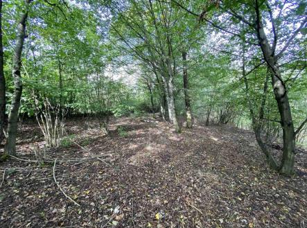 Prodej pozemku, ostatní, 764 m²