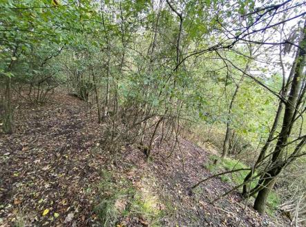 Prodej pozemku, ostatní, 764 m²