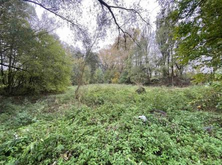 Prodej pozemku, ostatní, 1 049 m²