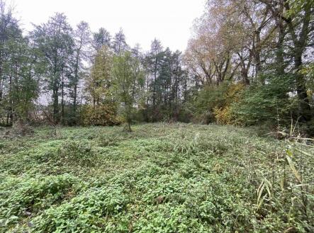 Prodej pozemku, ostatní, 1 049 m²