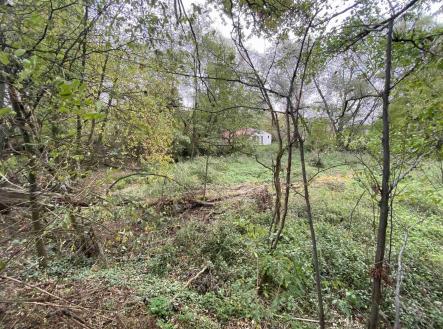 Prodej pozemku, ostatní, 1 049 m²