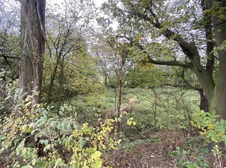 Prodej pozemku, ostatní, 1 049 m²