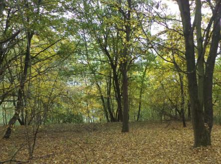 Prodej pozemku, ostatní, 14 780 m²