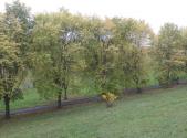 Prodej pozemku, ostatní, 1 044 m²
