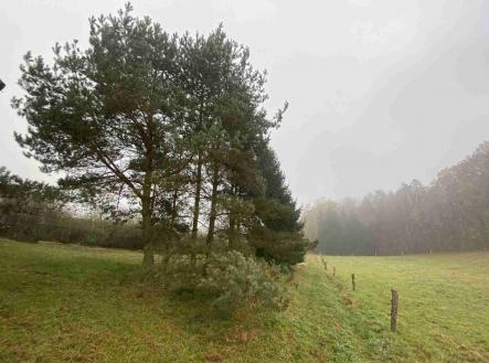 Prodej pozemku pro bydlení, 566 m²