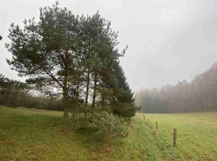 Prodej pozemku, ostatní, 566 m²