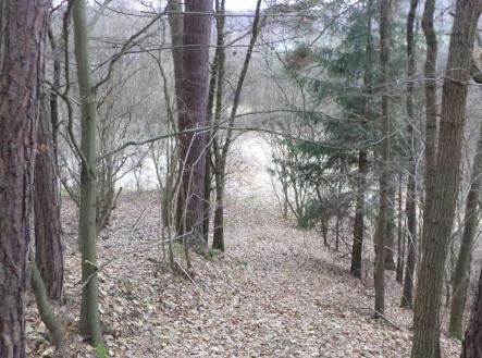 Prodej pozemku, les, 28 299 m²