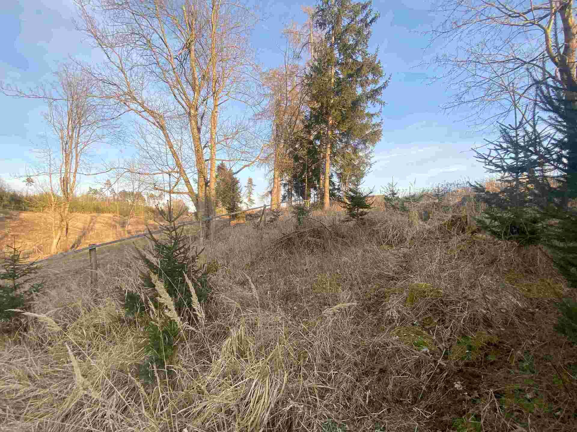 prodej pozemků k.ú. Kočov