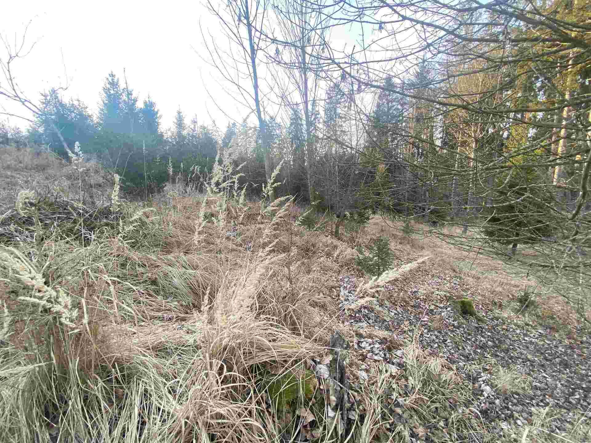 prodej pozemků k.ú. Kočov