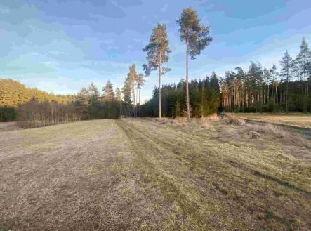 Prodej - pozemek, zemědělská půda, 5 268 m²