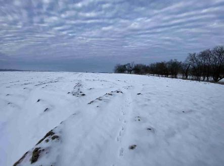 Prodej pozemku, ostatní, 1 750 m²