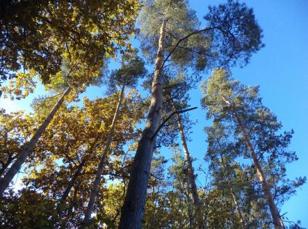 Prodej pozemku, ostatní, 2 102 m²