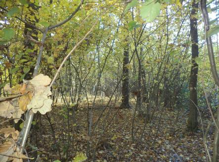 Prodej pozemku, ostatní, 2 102 m²