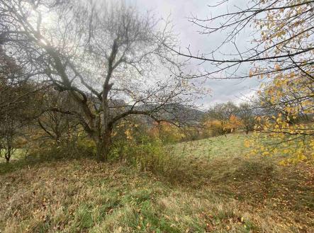 Prodej pozemku, ostatní, 4 431 m²