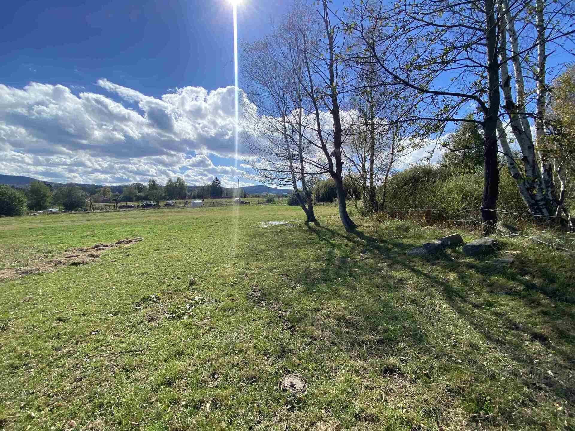 Prodej pozemku Rychnov u Nových Hradů