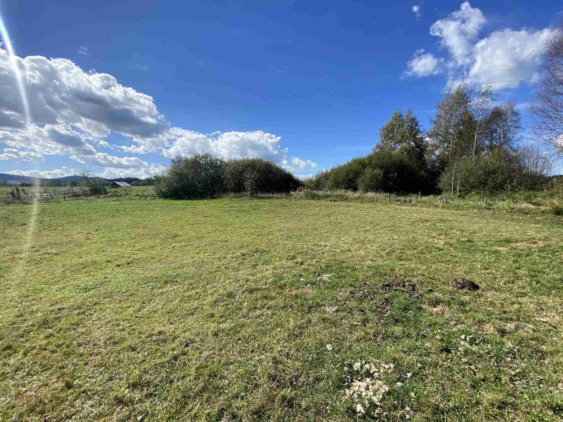 Prodej pozemku Rychnov u Nových Hradů