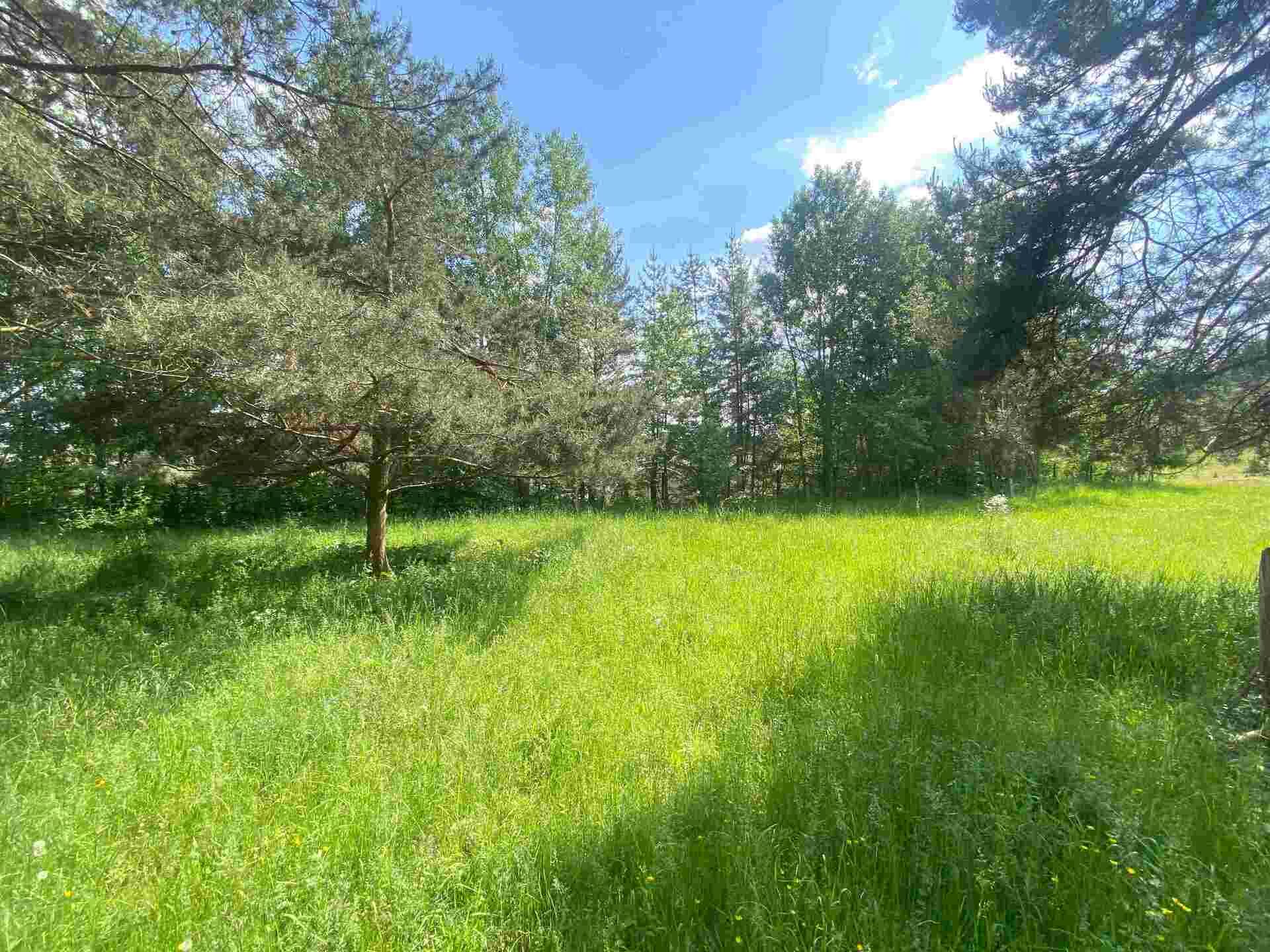 Prodej pozemku Býkov