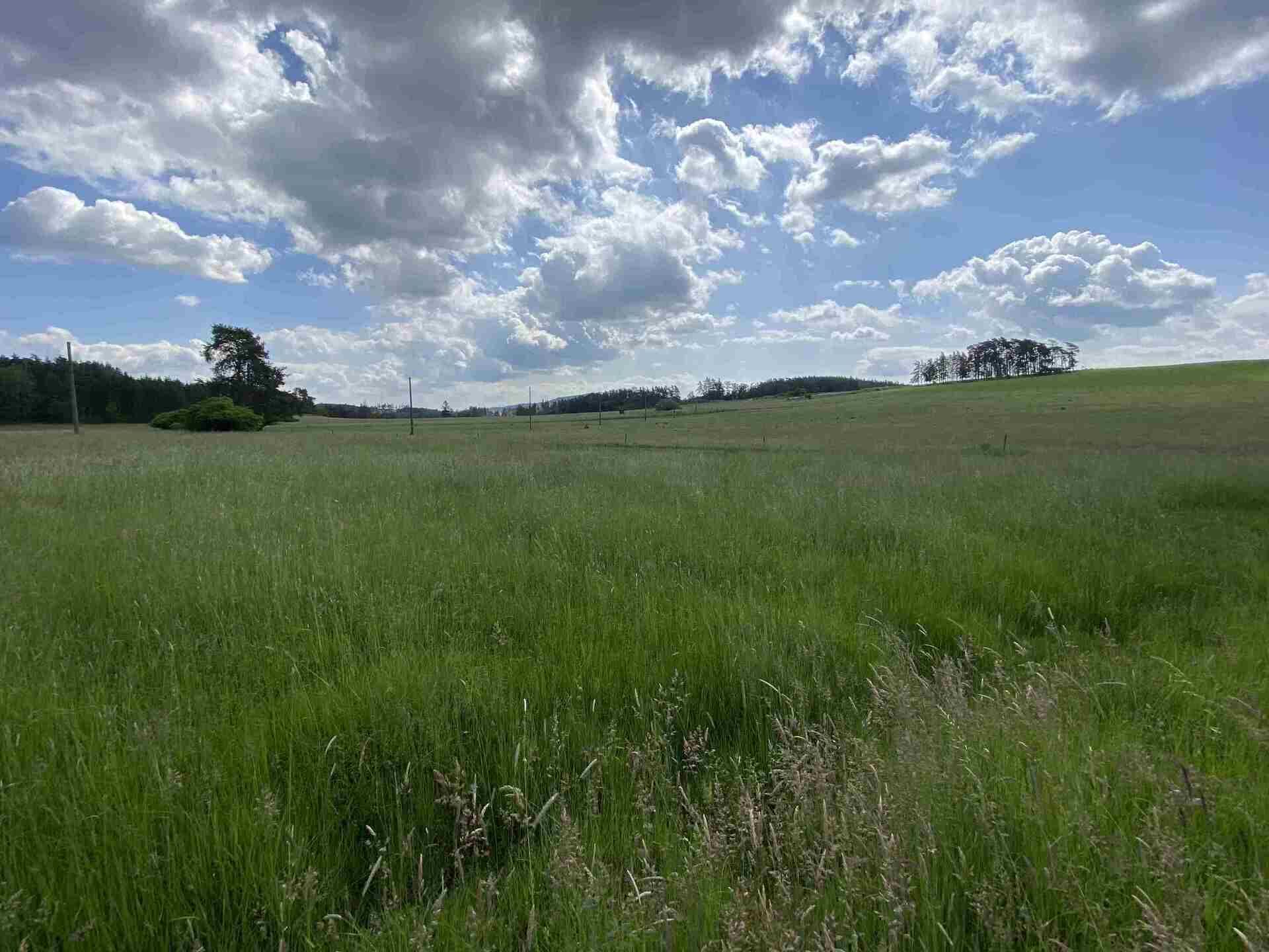 Dražba pozemku Pavlovice nad Mží