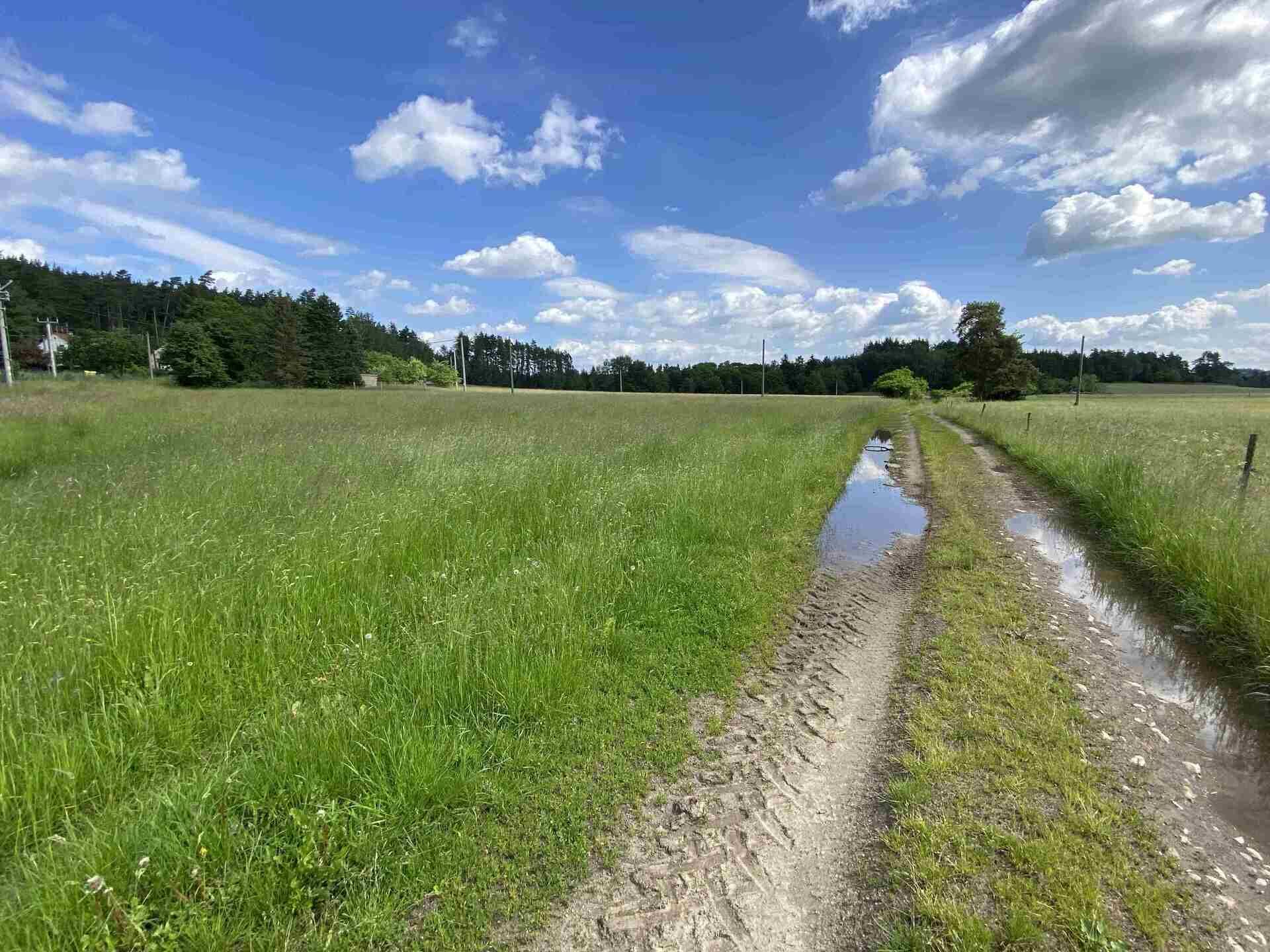 Dražba pozemku Pavlovice nad Mží