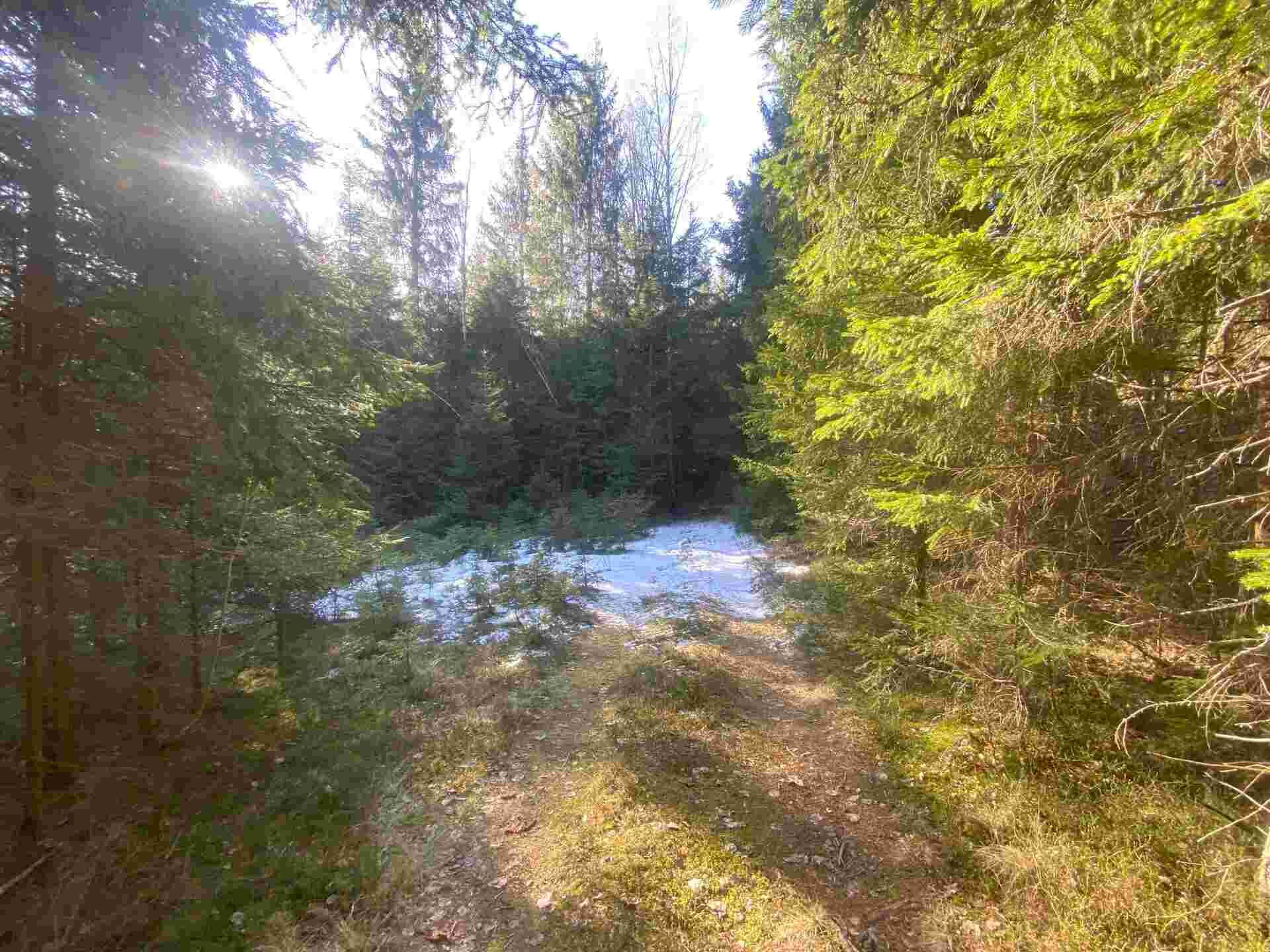 prodej pozemků k.ú. Špičák