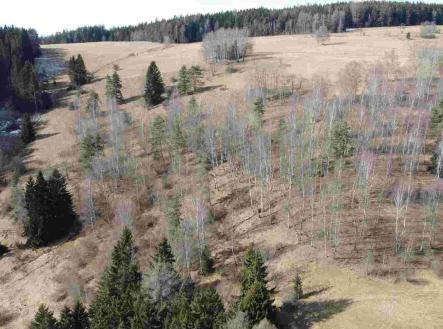 Prodej - pozemek, zemědělská půda, 3 869 m²