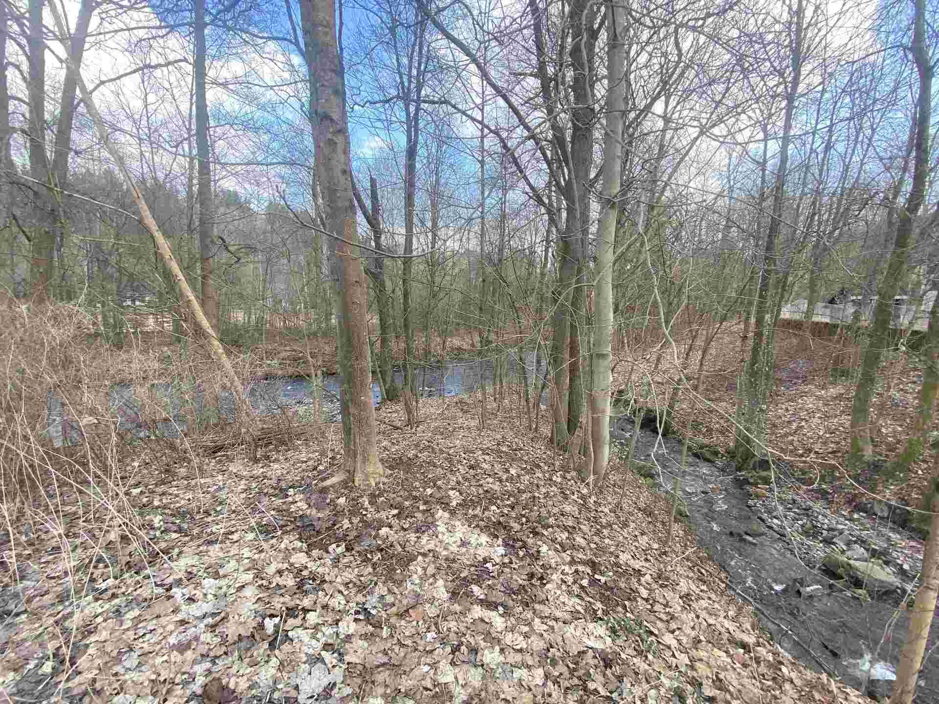 Prodej pozemku Bartošovice v Orlických horách