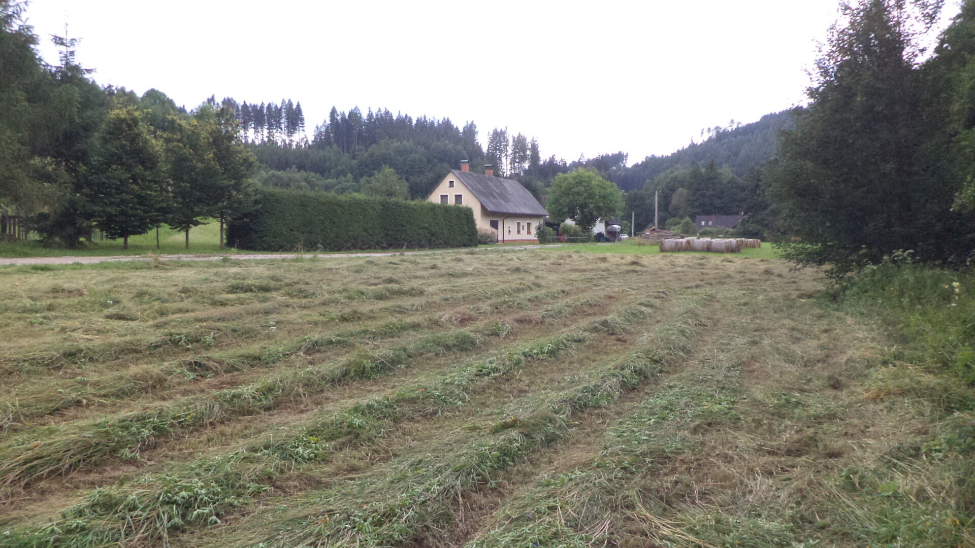 Prodej pozemku Chotěvice