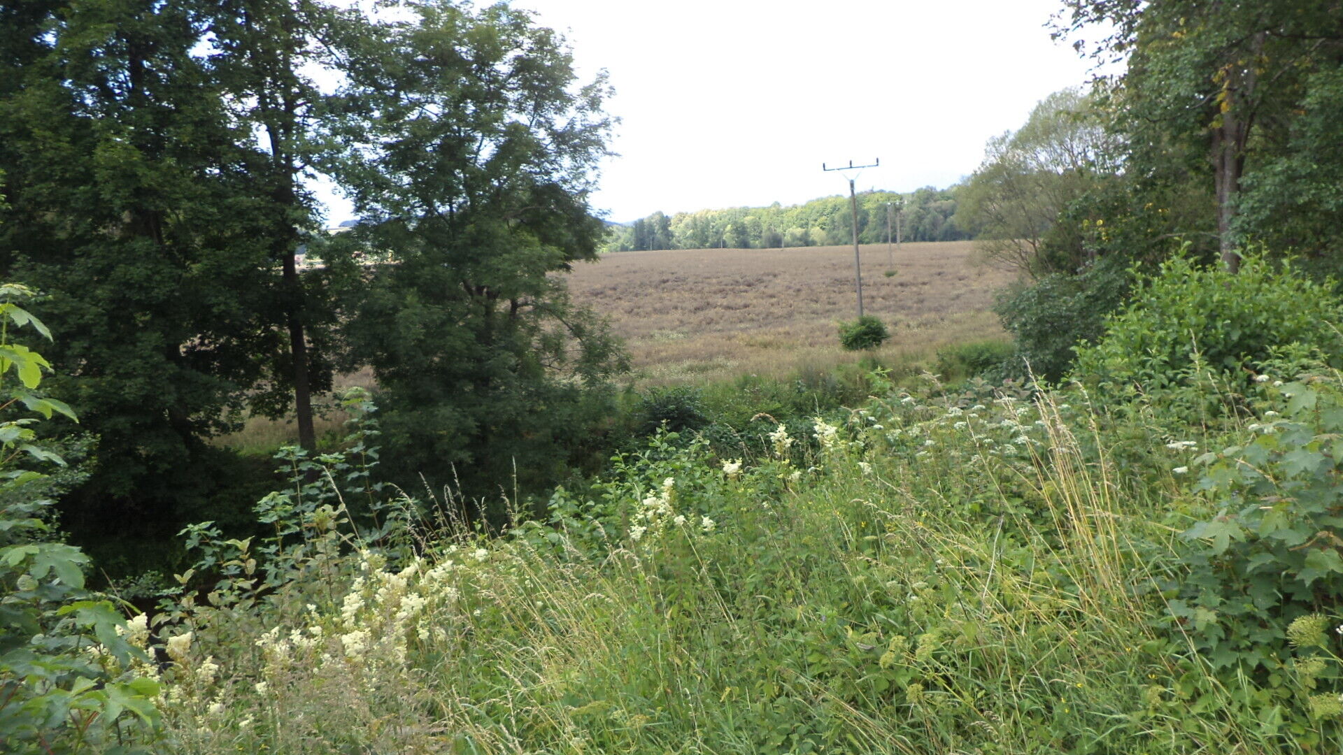 Prodej pozemku Chotěvice