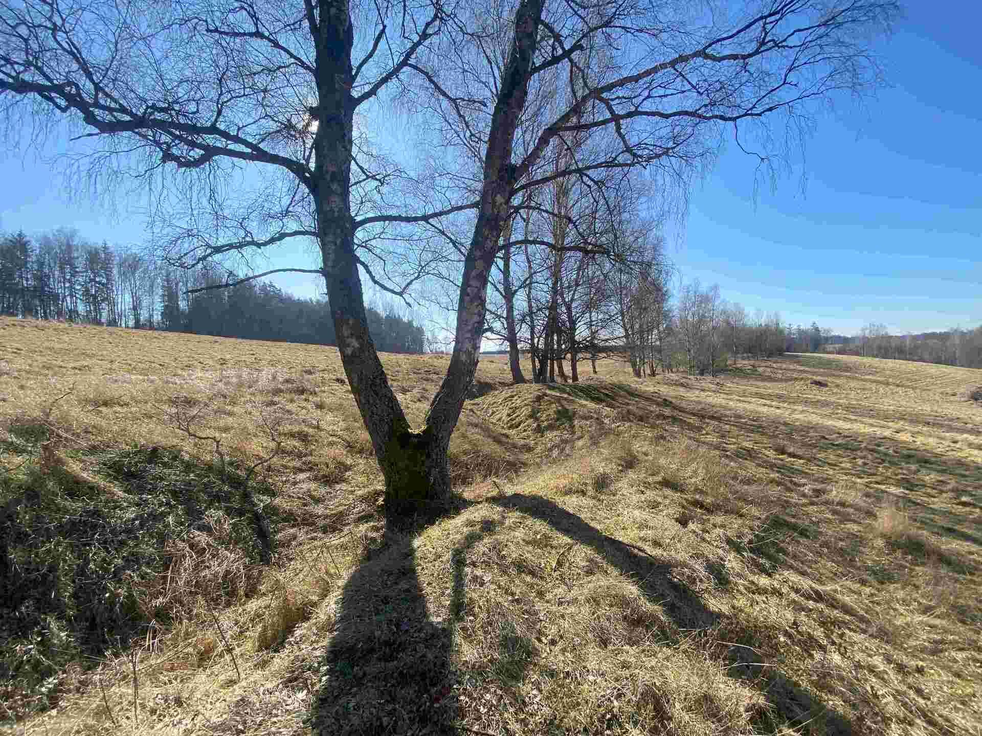 prodej pozemků k.ú. Svatá Kateřina u Rozvadova