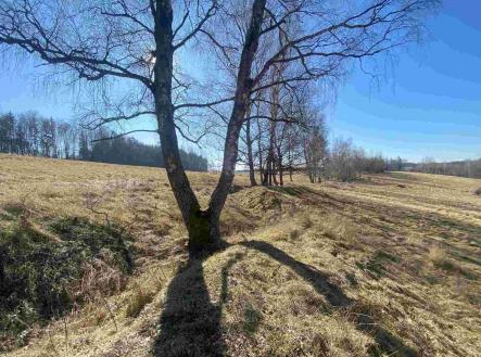 Prodej - pozemek, zemědělská půda, 60 693 m²