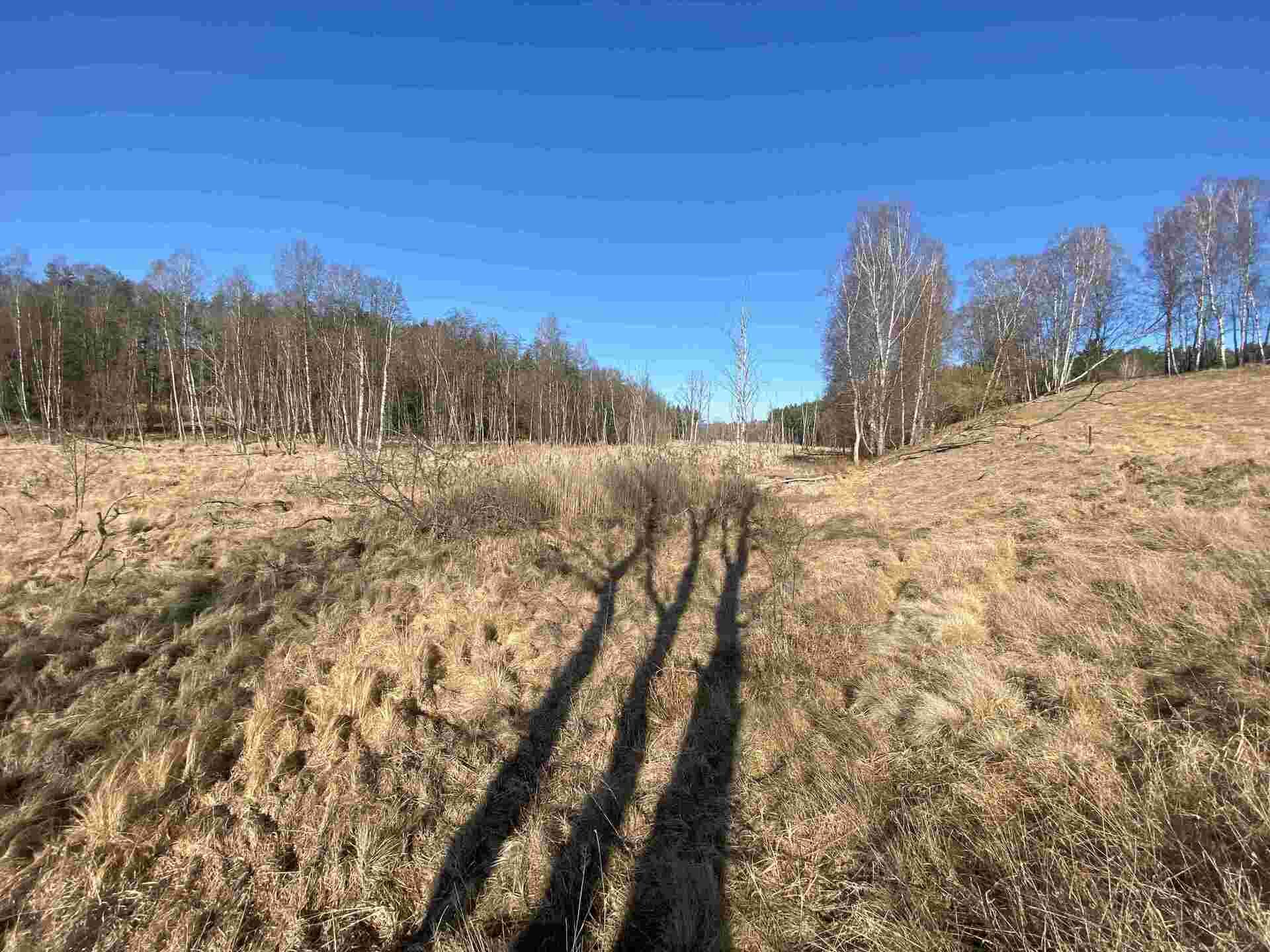 prodej pozemků k.ú. Svatá Kateřina u Rozvadova