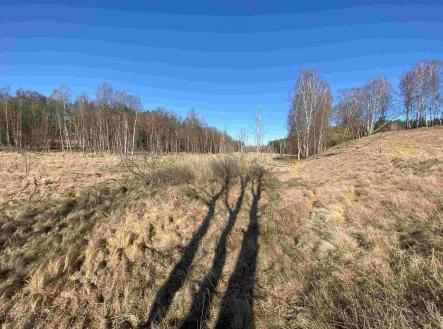 Prodej - pozemek, zemědělská půda, 60 693 m²